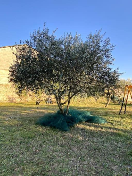 Bed and Breakfast le Nomade en Provence Bouchet  Exterior foto
