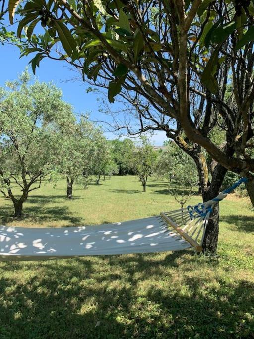 Bed and Breakfast le Nomade en Provence Bouchet  Exterior foto