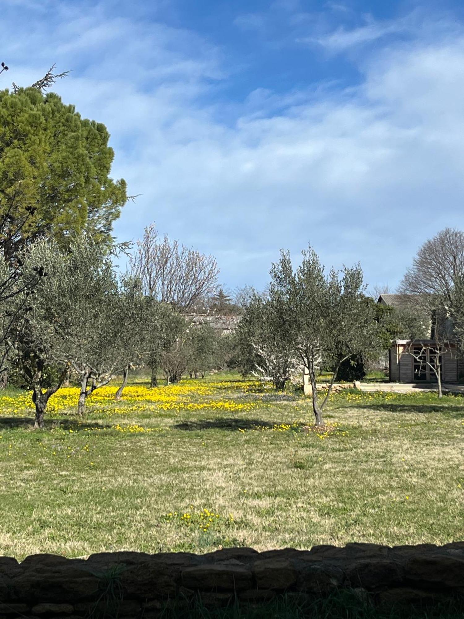 Bed and Breakfast le Nomade en Provence Bouchet  Exterior foto
